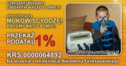 Aukcja dla Nikodema!