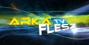 Arka-TV Flesz 17.01.2014